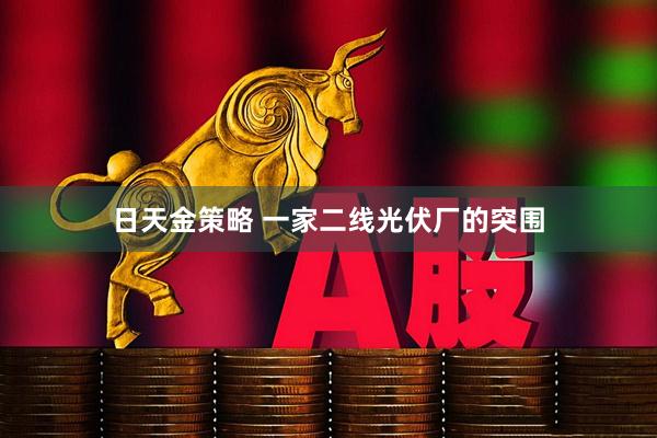 日天金策略 一家二线光伏厂的突围