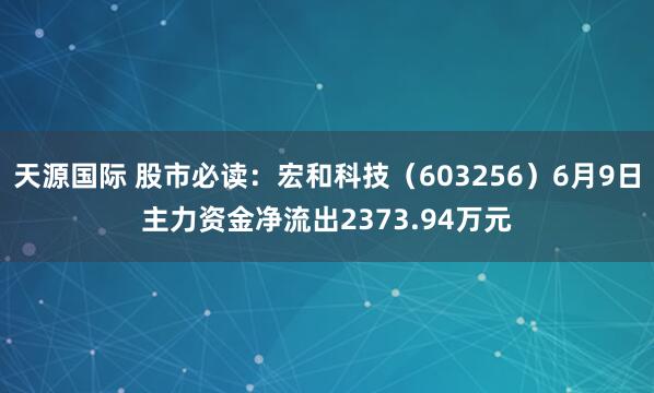 天源国际 股市必读：宏和科技（603256）6月9日主力资金净流出2373.94万元