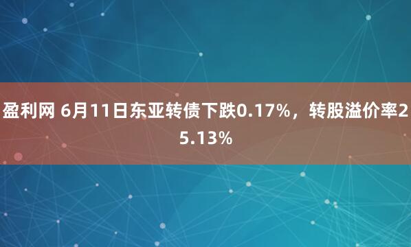 盈利网 6月11日东亚转债下跌0.17%，转股溢价率25.13%