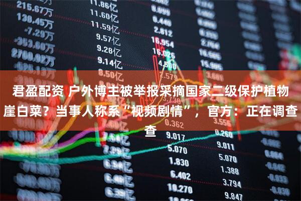 君盈配资 户外博主被举报采摘国家二级保护植物崖白菜？当事人称系“视频剧情”，官方：正在调查