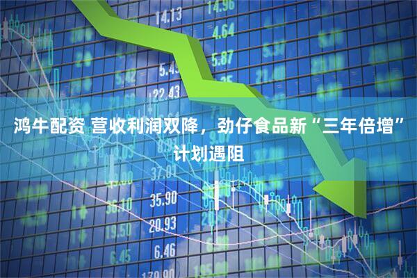鸿牛配资 营收利润双降，劲仔食品新“三年倍增”计划遇阻