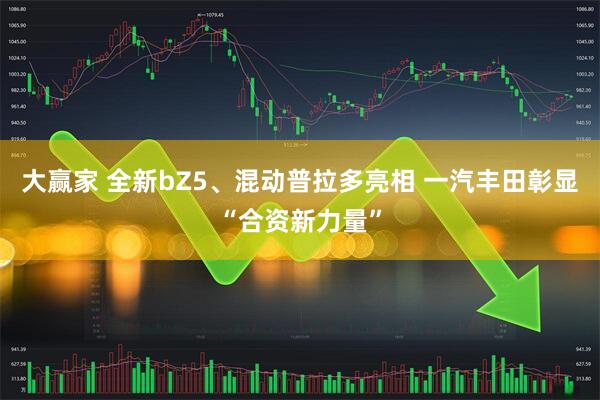 大赢家 全新bZ5、混动普拉多亮相 一汽丰田彰显“合资新力量”