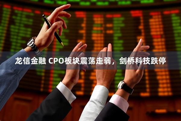 龙信金融 CPO板块震荡走弱，剑桥科技跌停