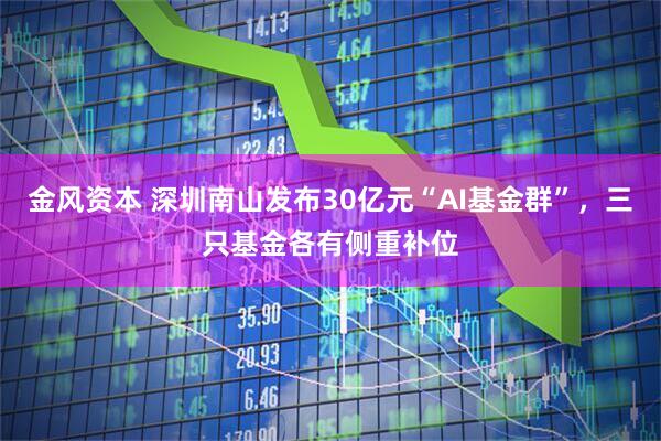 金风资本 深圳南山发布30亿元“AI基金群”，三只基金各有侧重补位